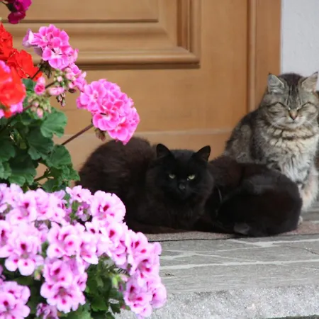 Apartements Richlegghof דירה