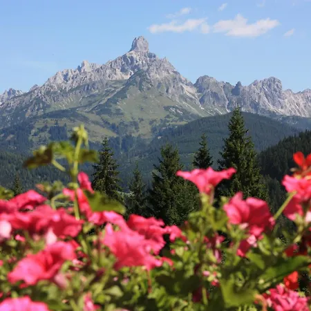 Apartements Richlegghof *