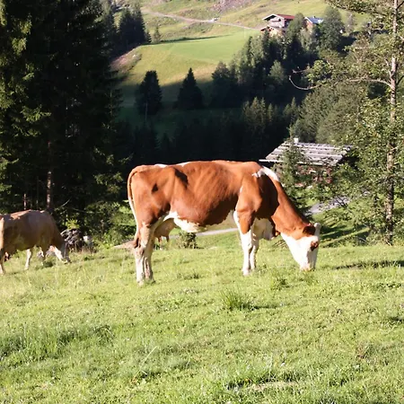 Apartements Richlegghof * Filzmoos