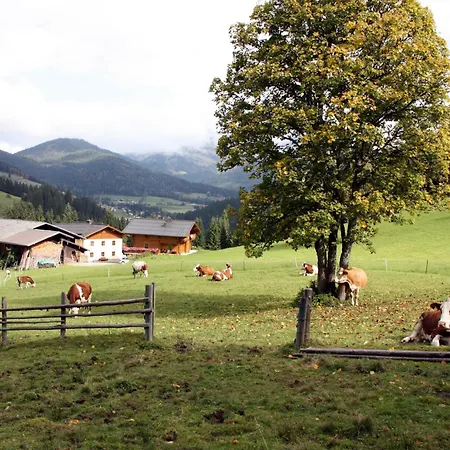 Apartman Apartements Richlegghof Filzmoos