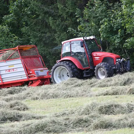 Apartements Richlegghof *