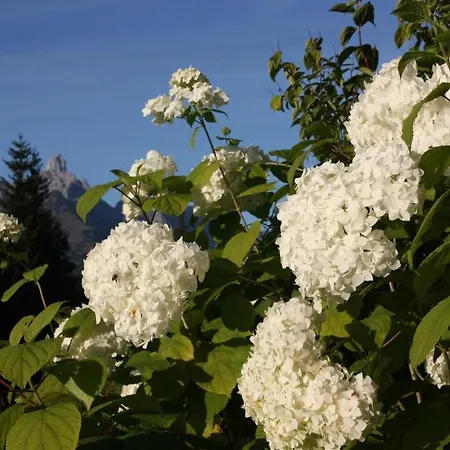 דירה Apartements Richlegghof