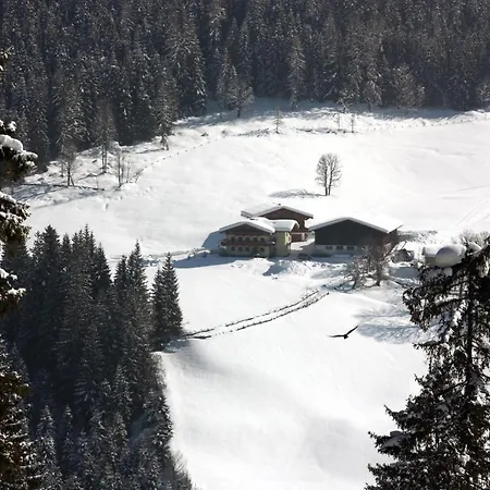 Apartament Apartements Richlegghof Filzmoos