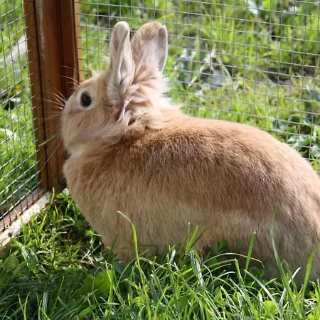 Apartements Richlegghof Apartman *