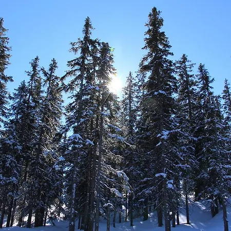 アパート Apartements Richlegghof *