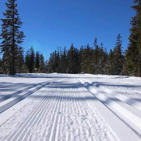 Apartements Richlegghof * פילצמוס