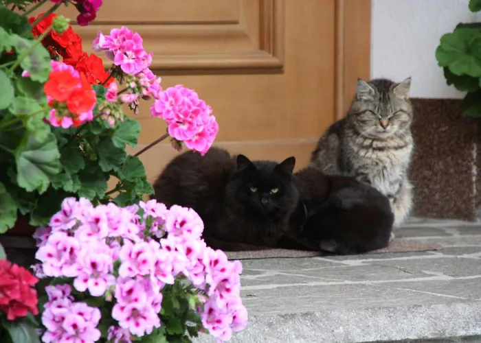 Apartements Richlegghof Daire