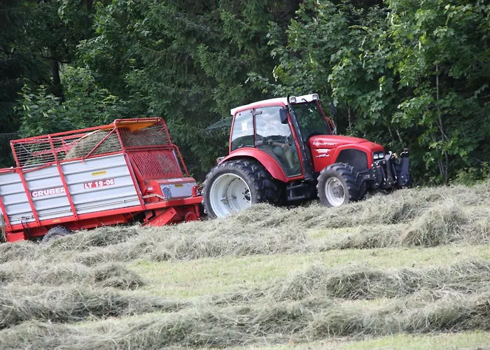 Apartements Richlegghof *