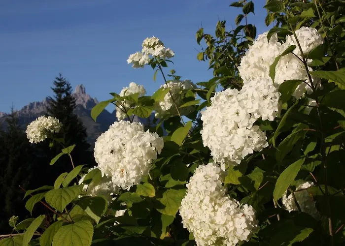 شقة Apartements Richlegghof