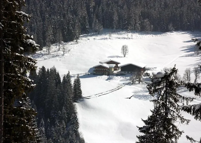 Daire Apartements Richlegghof Filzmoos