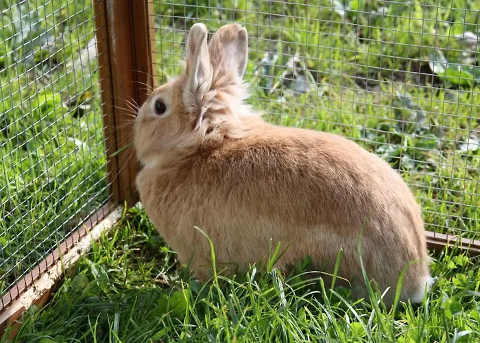 Apartements Richlegghof Daire *