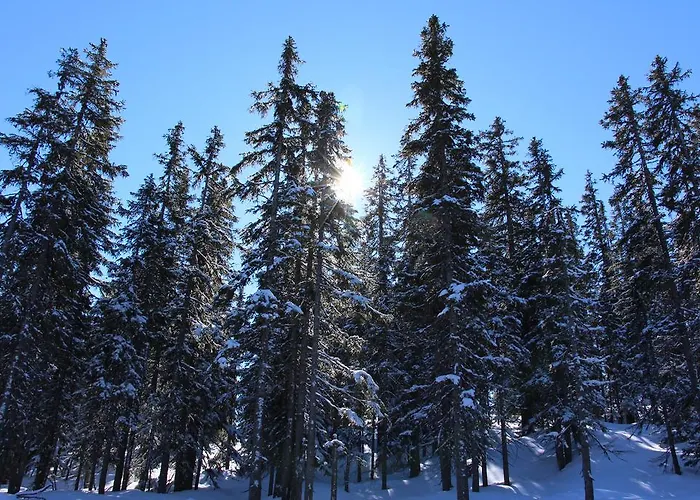 شقة Apartements Richlegghof *