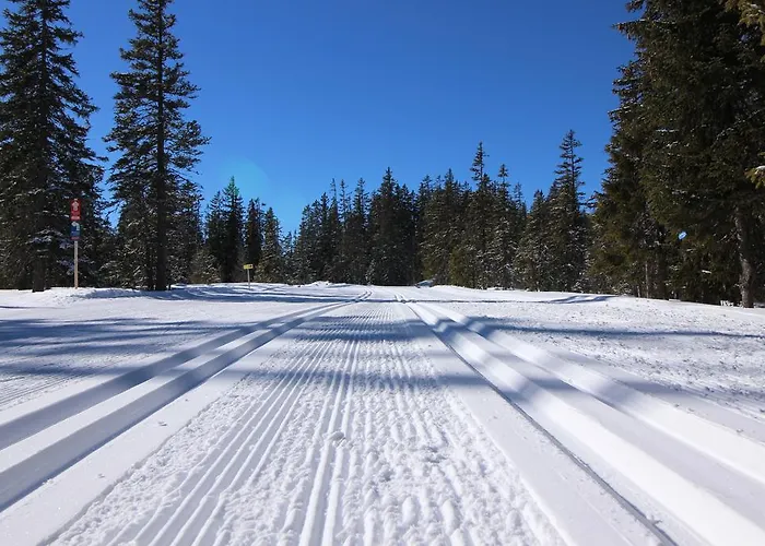 Apartements Richlegghof * فيلزموس